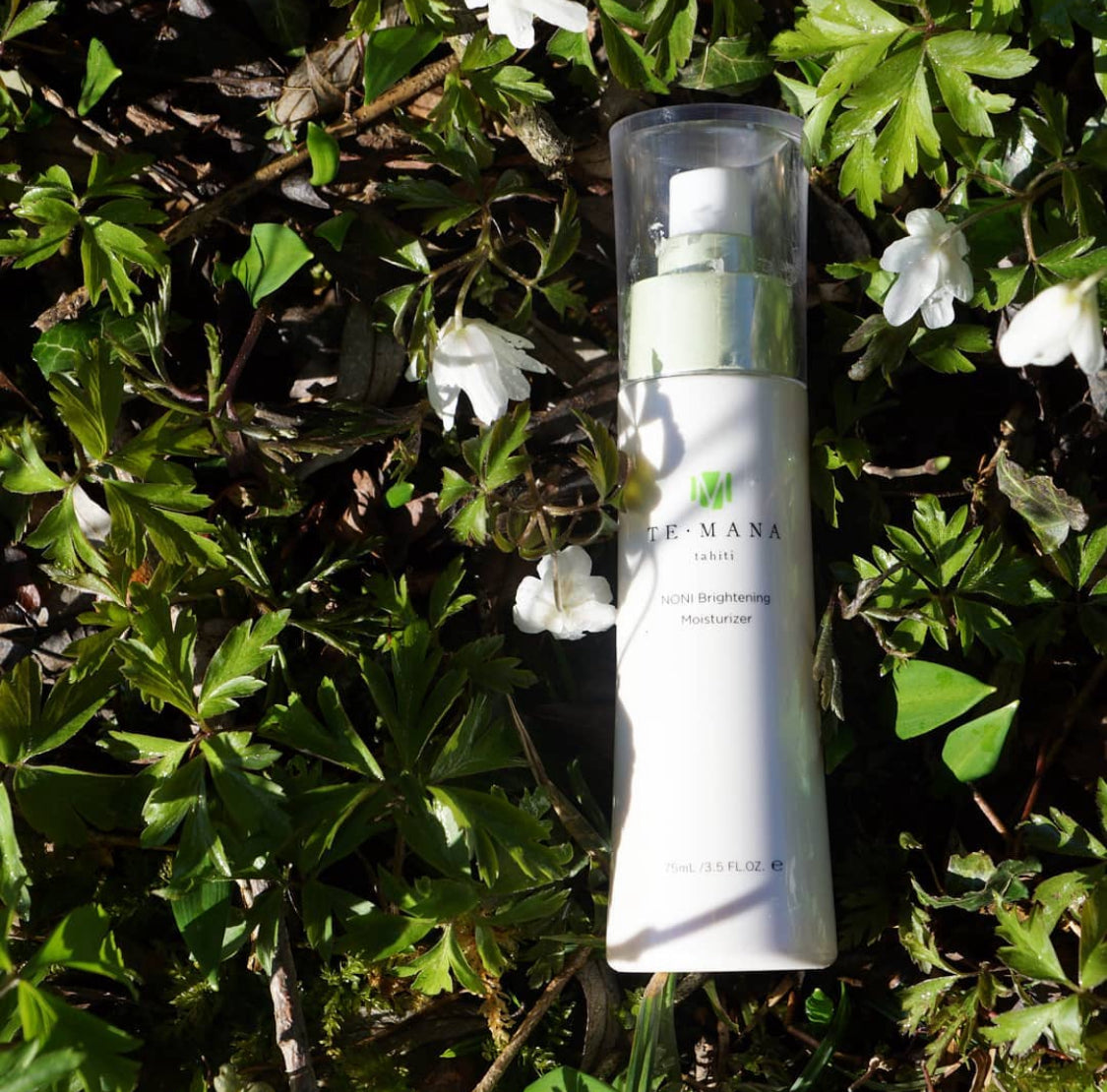 TeMana Noni Radiant Day Repair Set